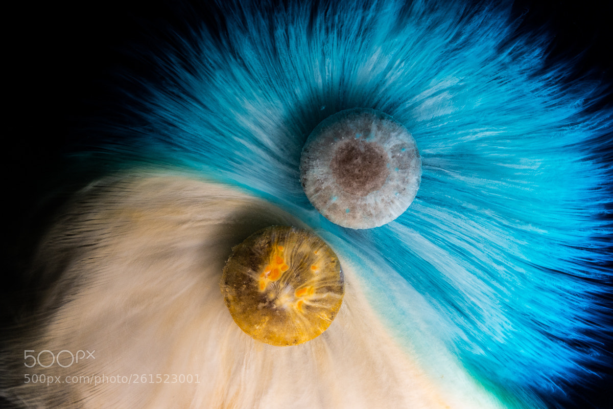 Nikon D7200 sample photo. Blue and orange m photography