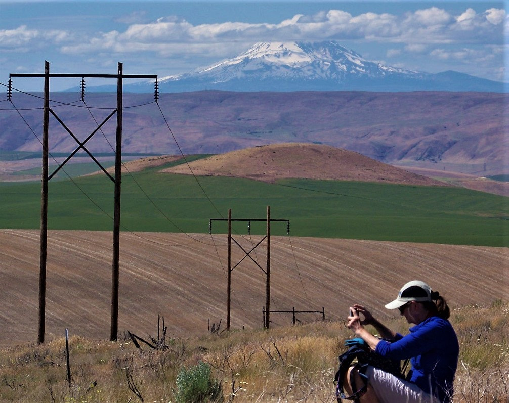 Kodak Z712 IS ZOOM DIGITAL CAMERA sample photo. Mt. adams over wheat fields photography