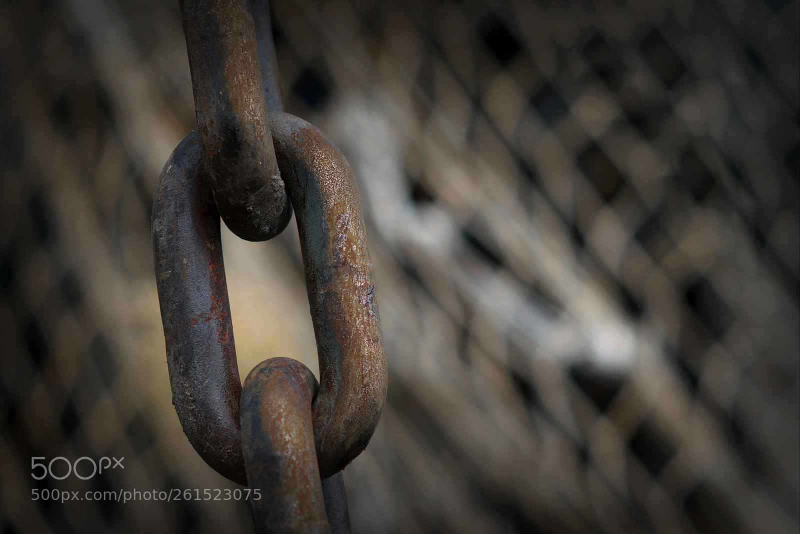 Nikon D5300 sample photo. Linked photography