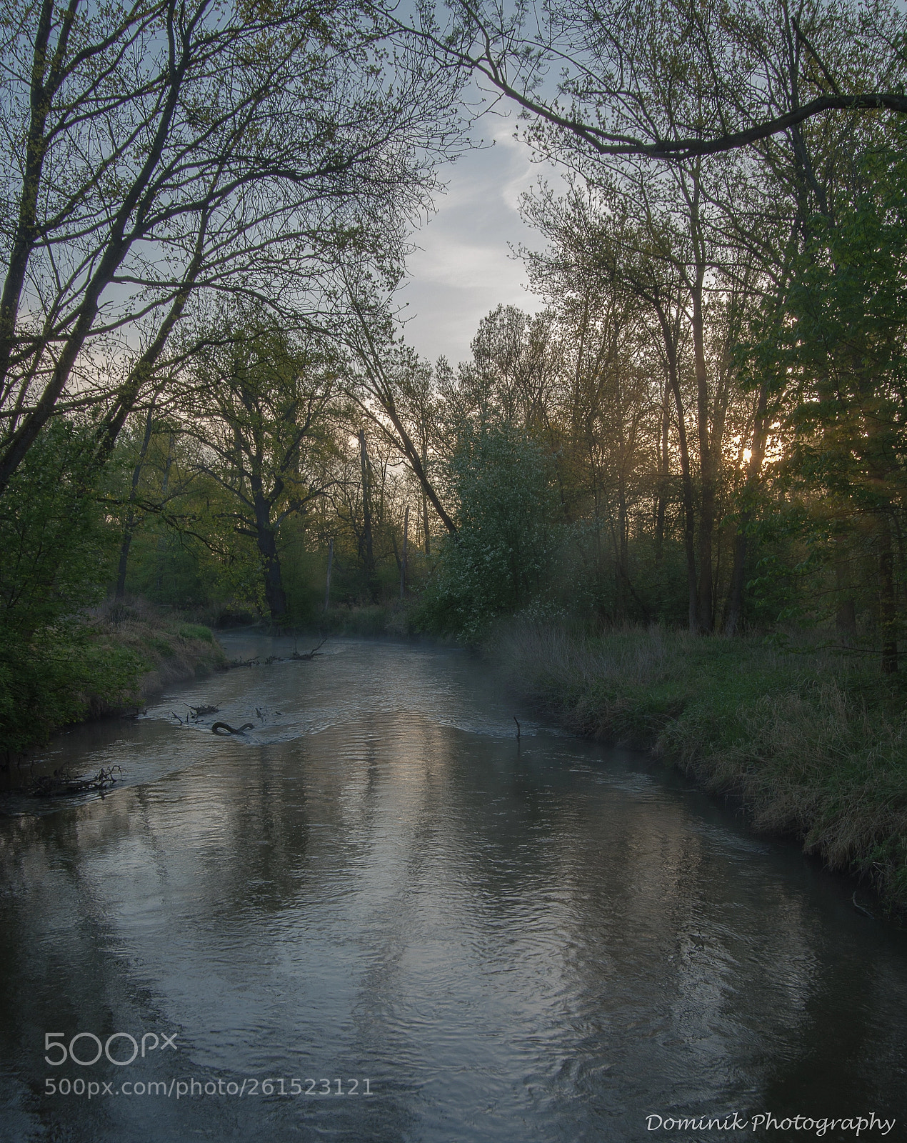 Pentax K-50 sample photo. Landscape park dolina bystrzycy photography