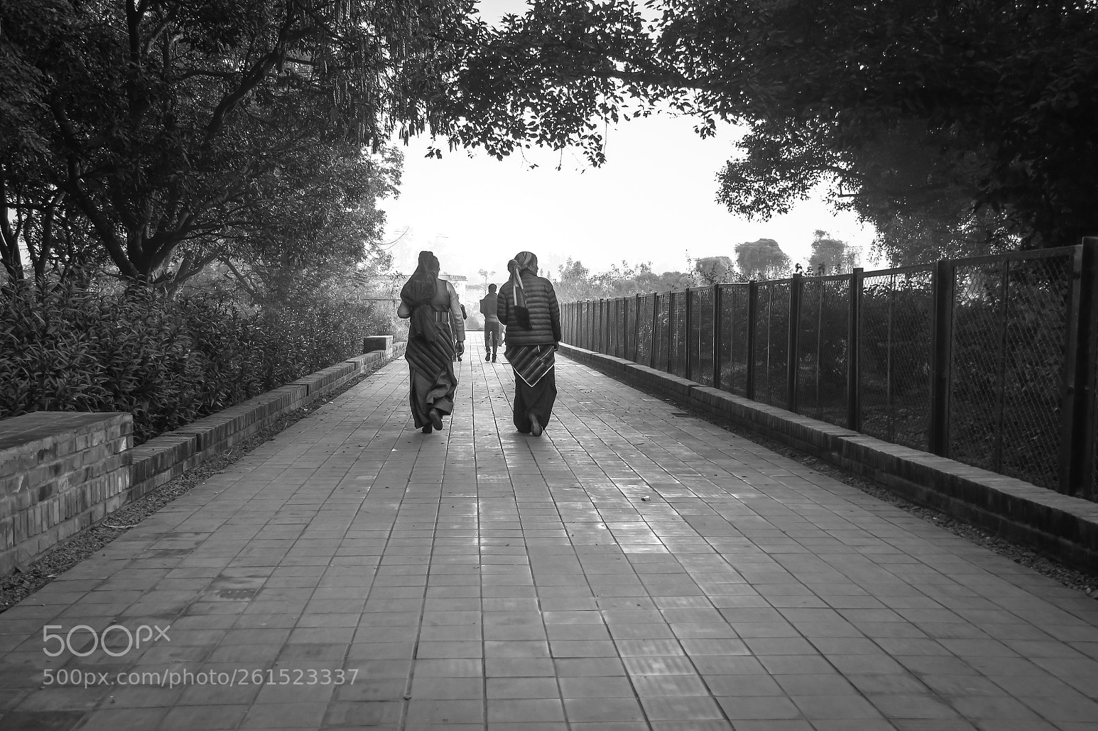 Canon EOS 70D sample photo. Let's walk together photography