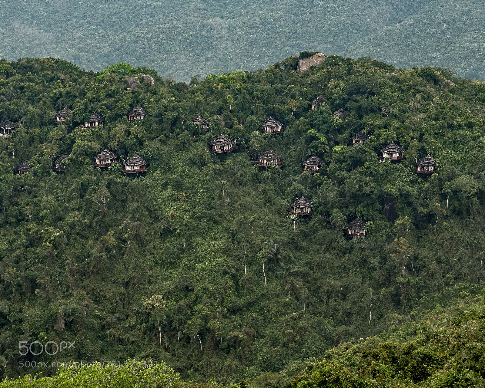 Panasonic Lumix DC-G9 sample photo. Bird nest resort photography
