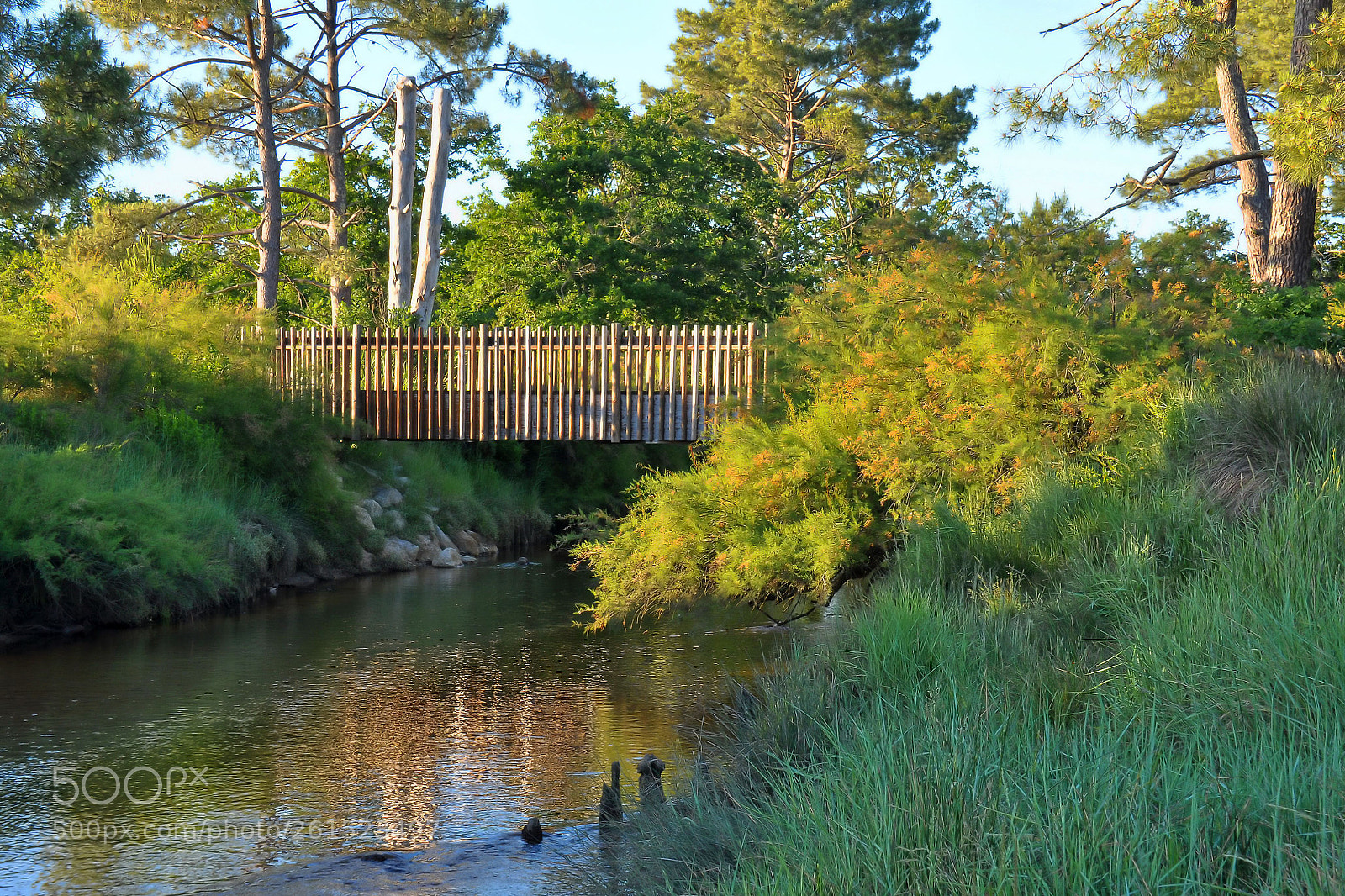 Nikon D90 sample photo. Little wooden bridge photography