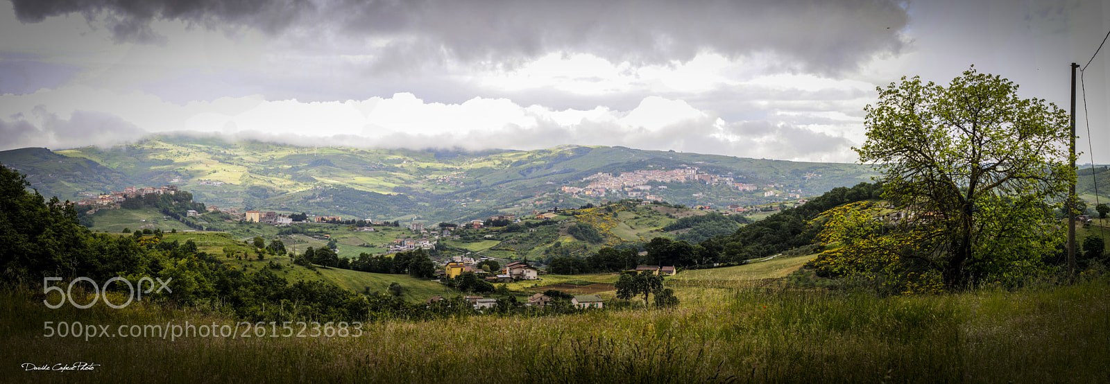 Nikon D90 sample photo. Ruoti photography