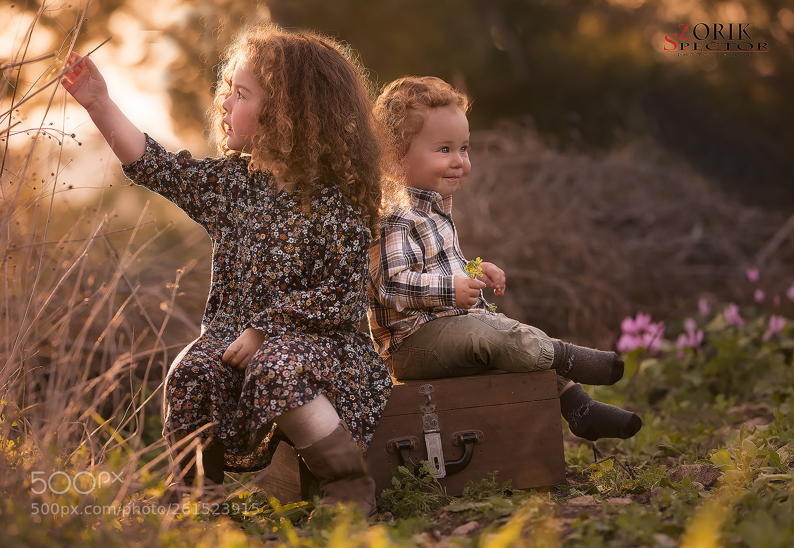 Nikon D800E sample photo. Joy of life photography