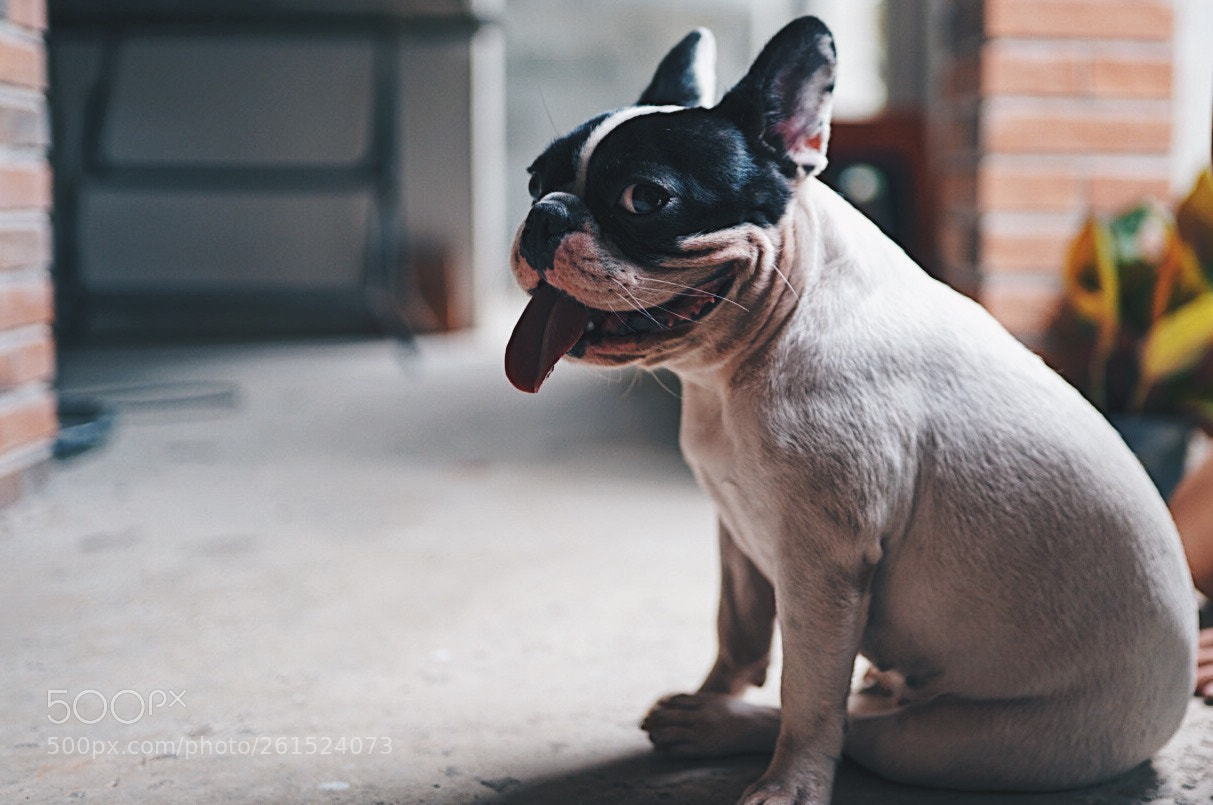 Sony a7 III sample photo. Untitled photography