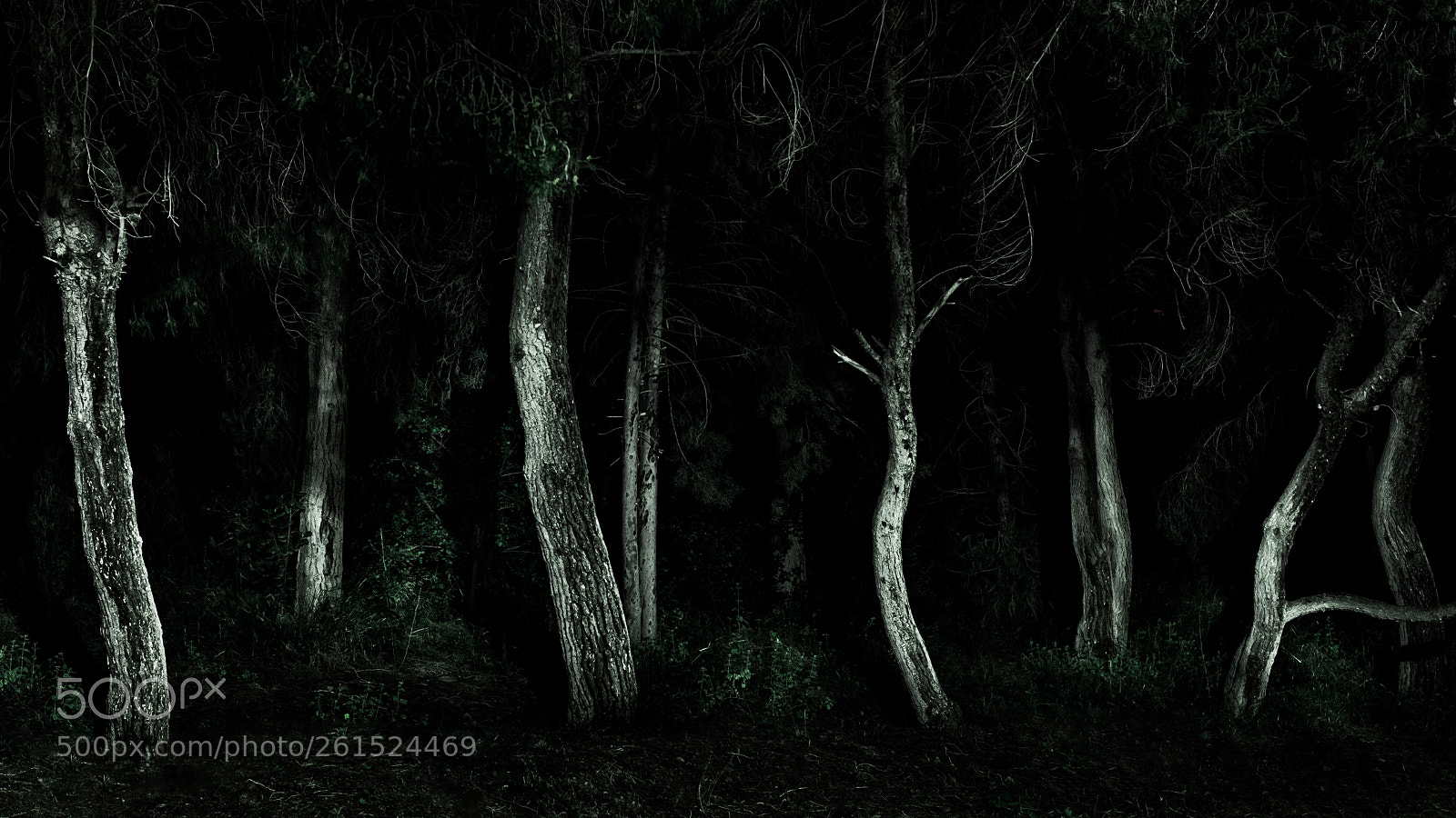Nikon Df sample photo. After hours photography