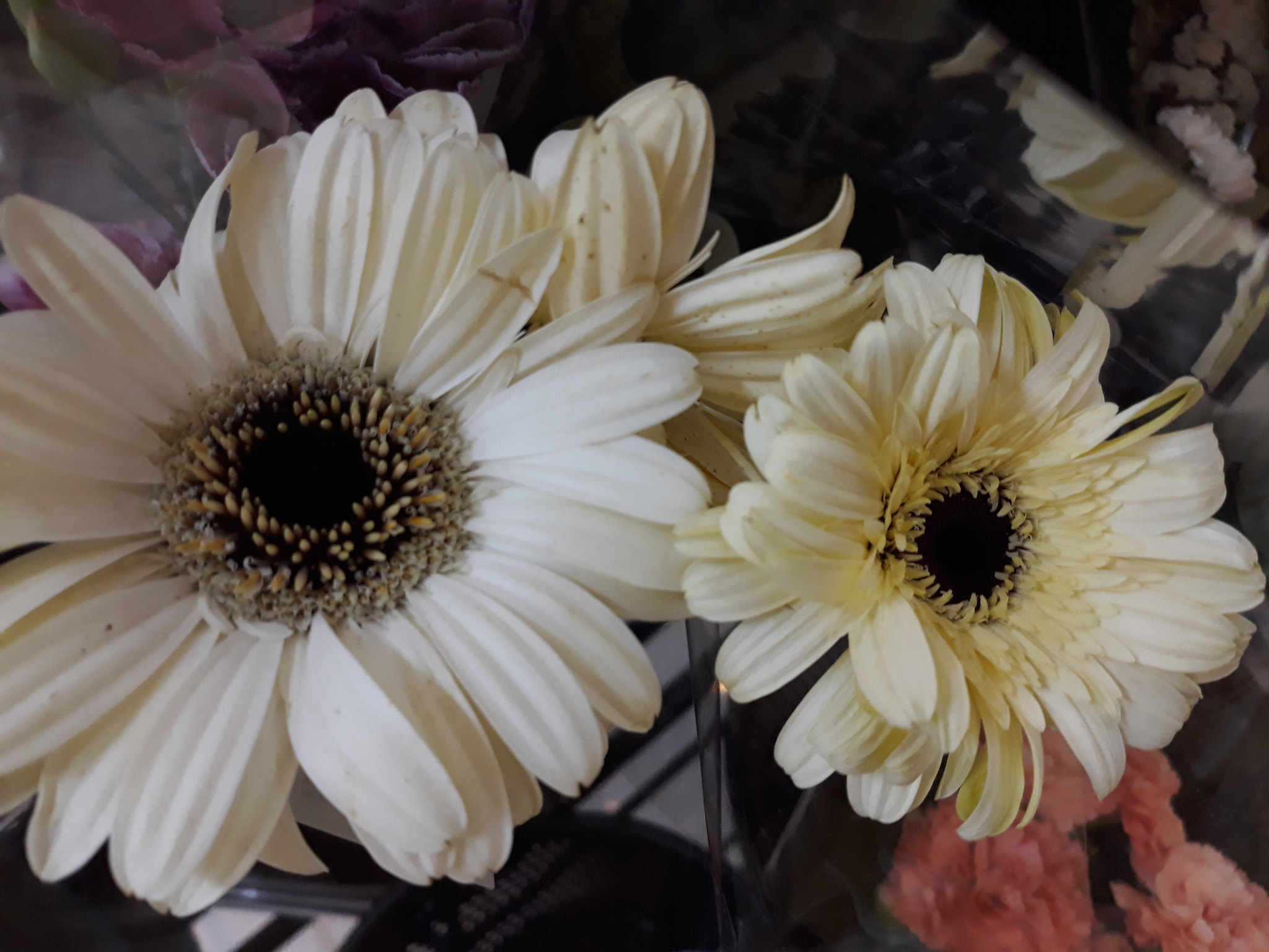 Samsung Galaxy J7 Pro sample photo. Purity photography