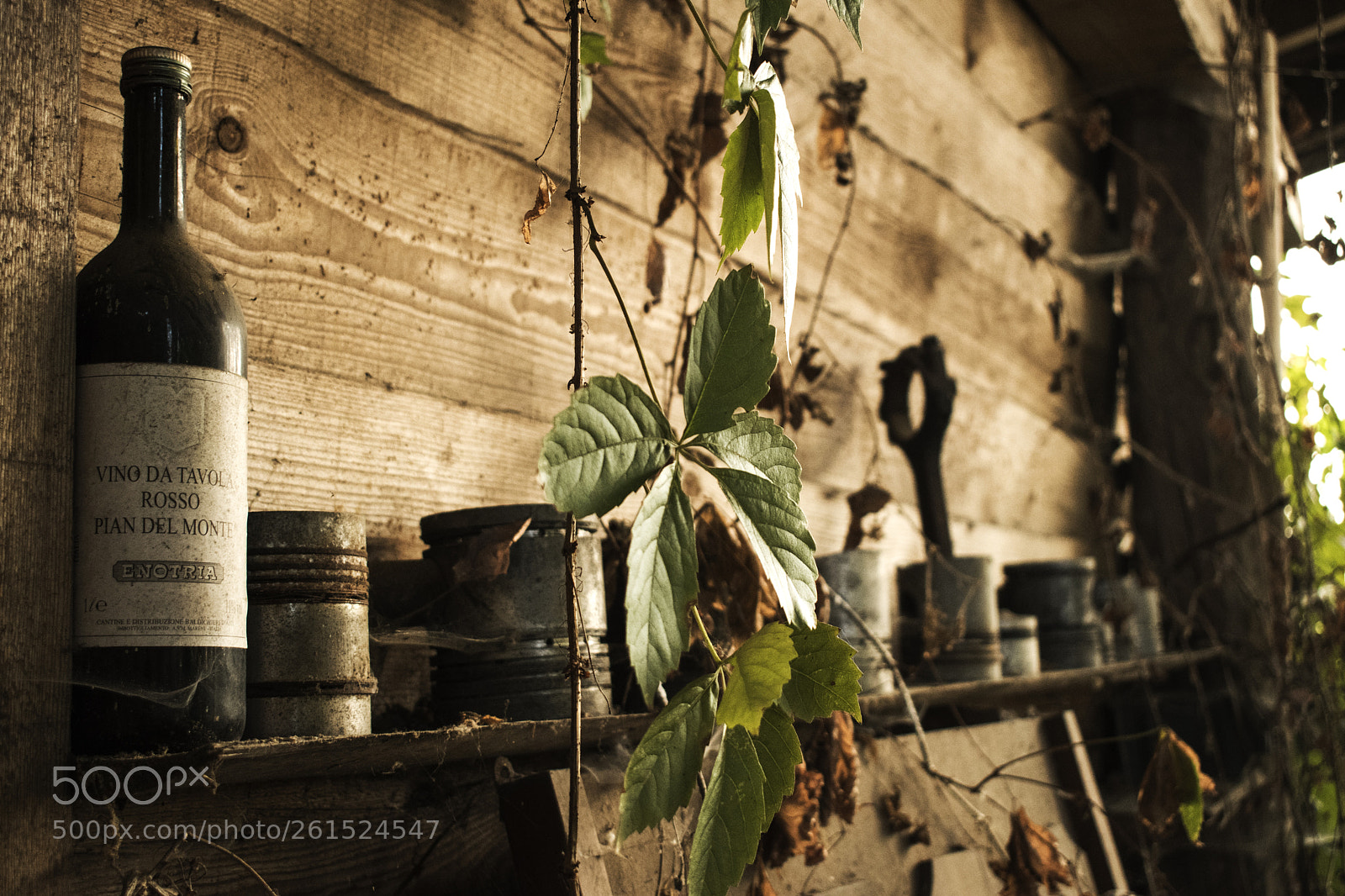 Nikon D5500 sample photo. Il portico dei ricordi photography