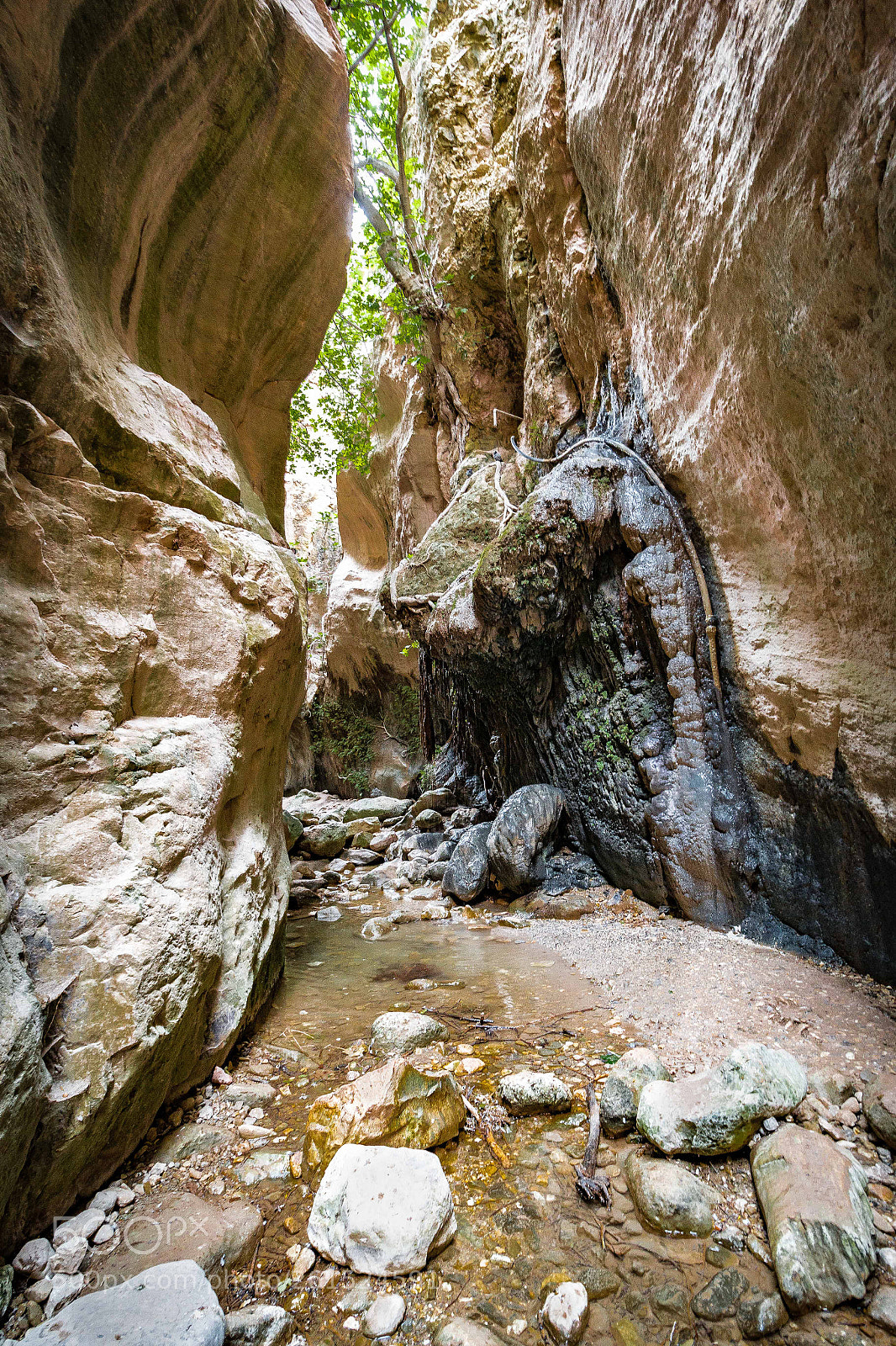 Canon EOS 70D sample photo. The avakas canyon. akamas. photography
