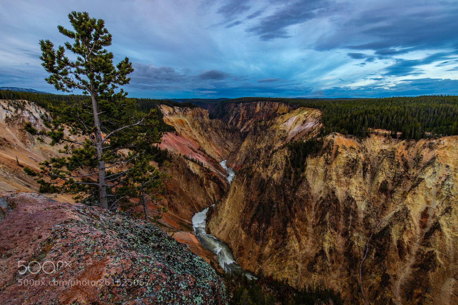 Canon EOS 5D Mark IV sample photo. Yellowstone valley photography