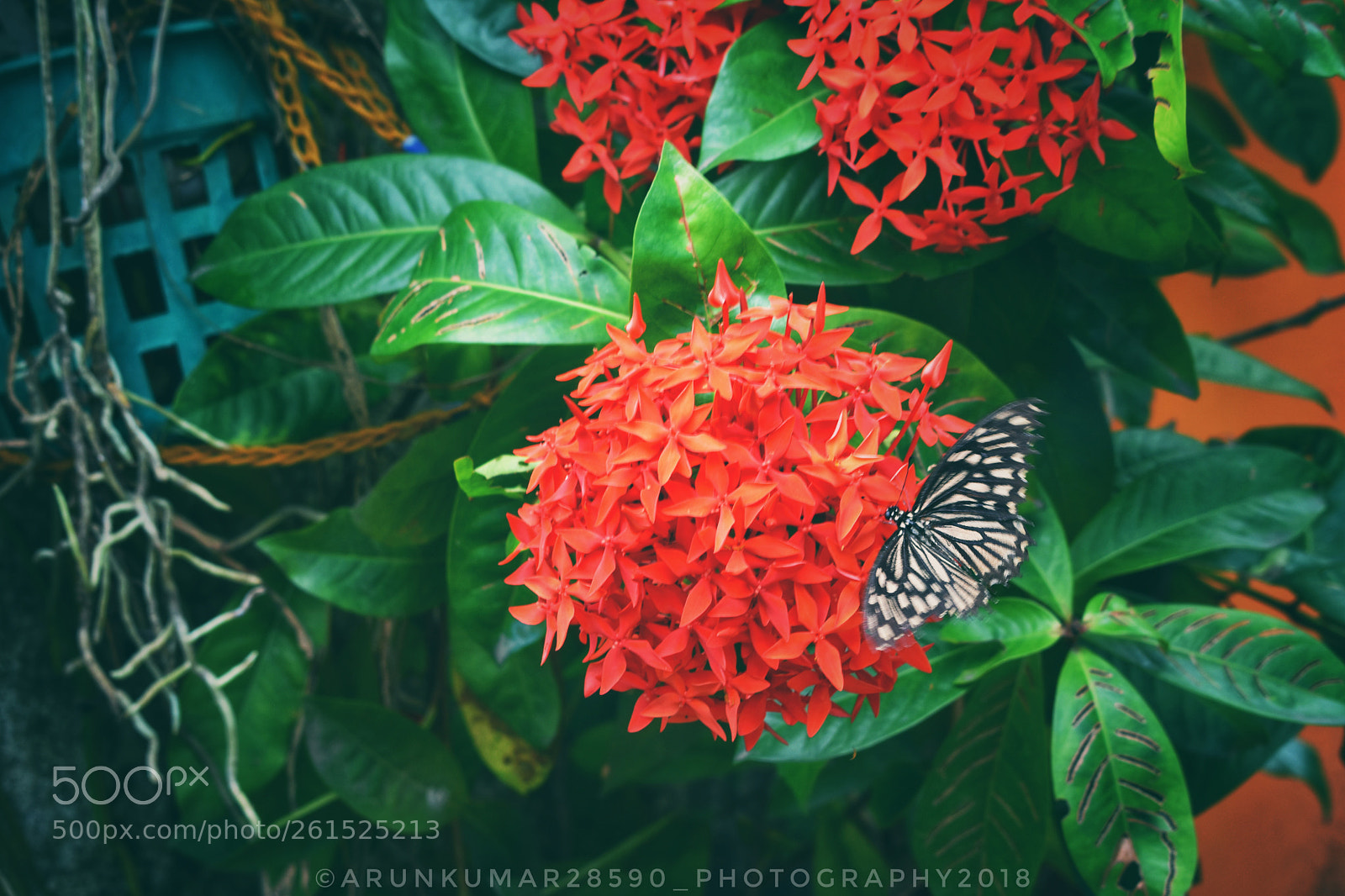 Nikon D3400 sample photo. Untitled photography