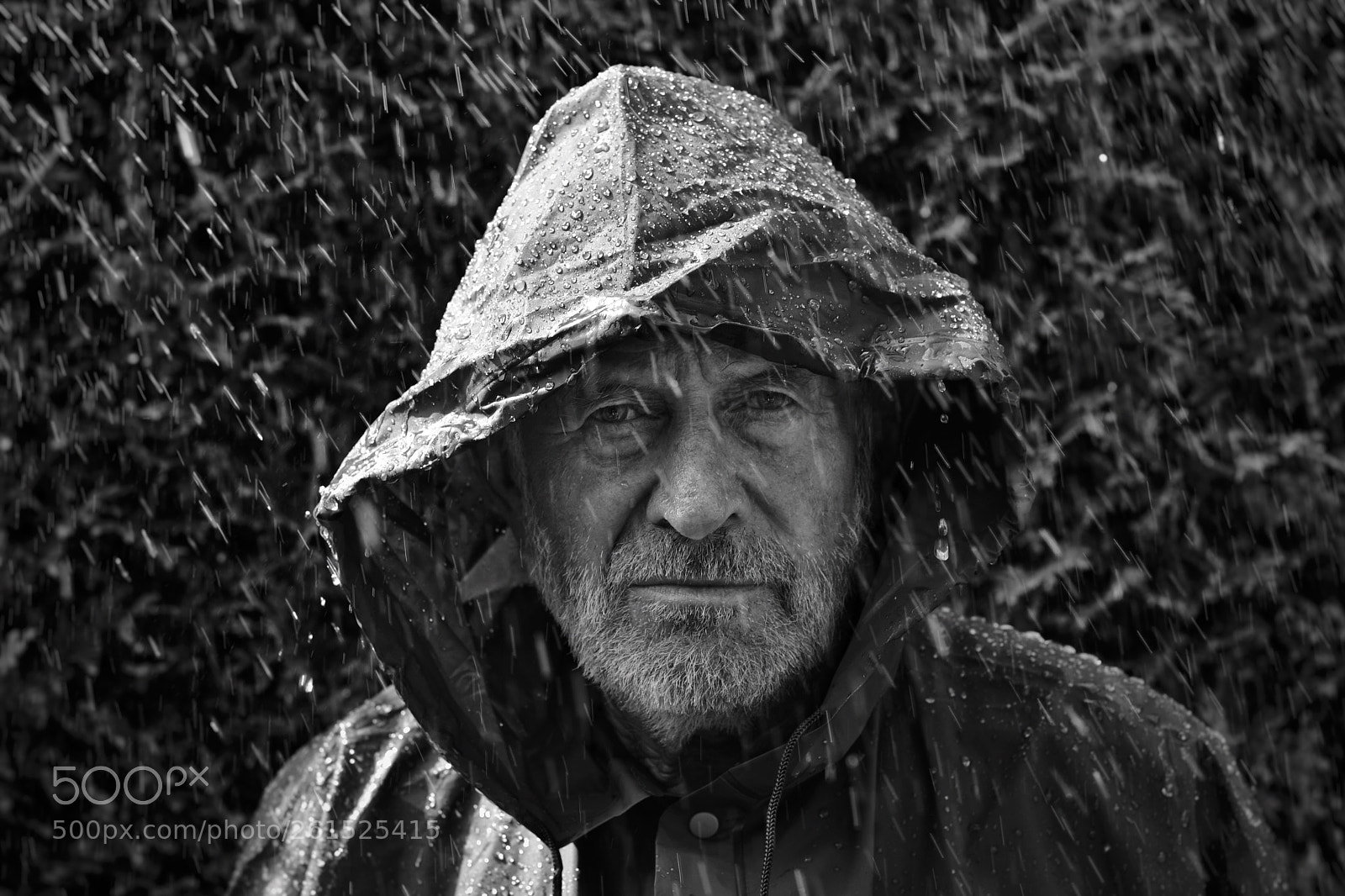 Nikon D500 sample photo. Rain photography