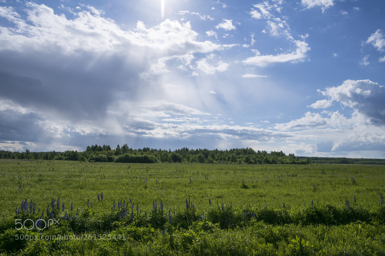 Sony ILCA-77M2 sample photo. June 9596 photography
