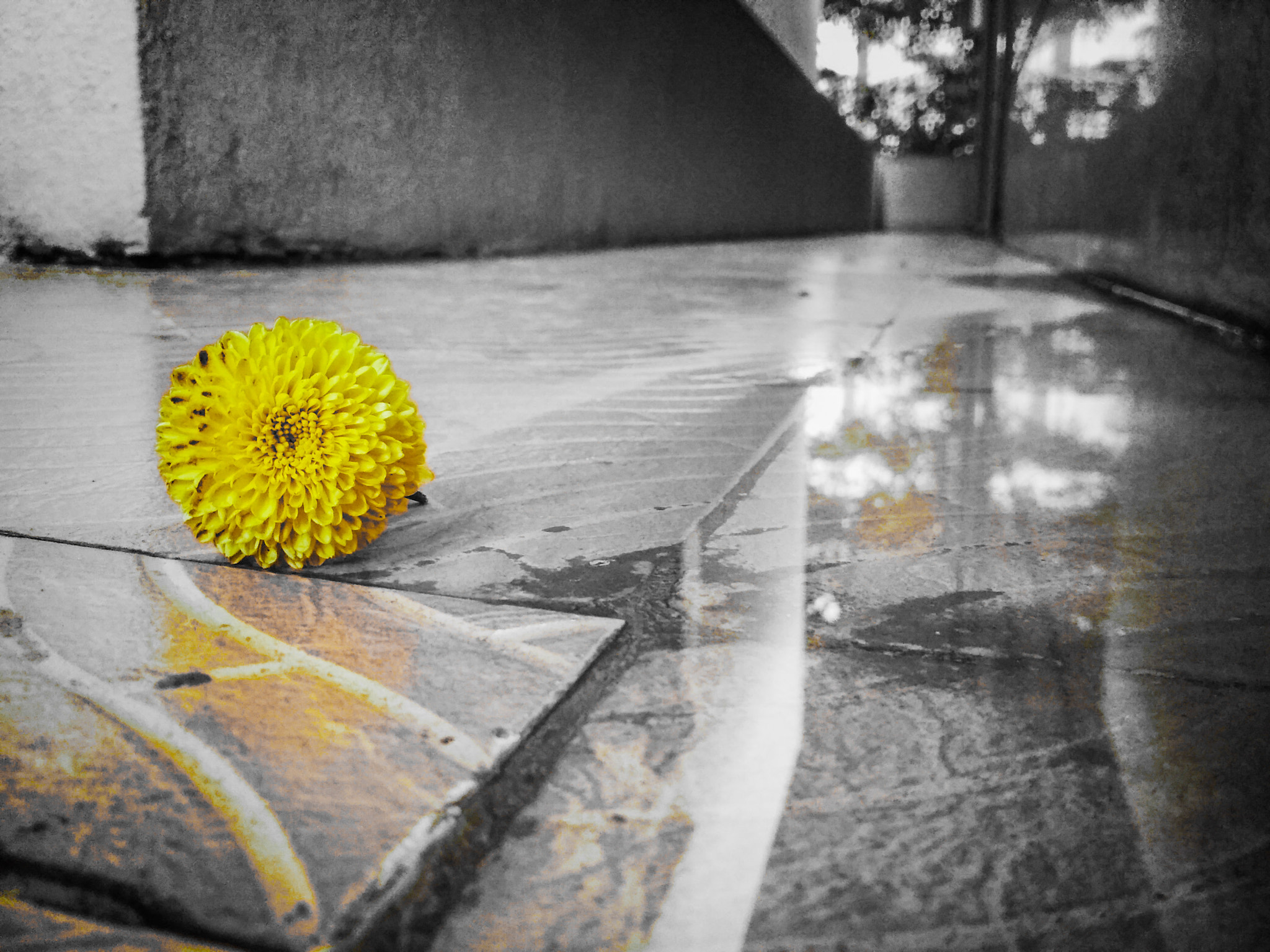 Xiaomi Redmi 4 Pro sample photo. .... photography