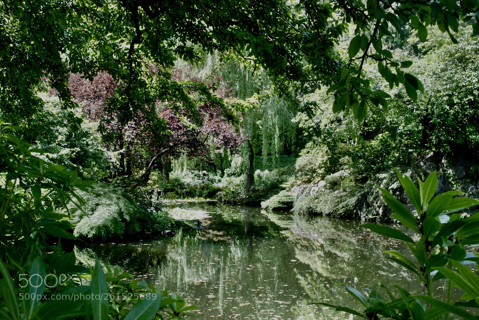 Nikon D80 sample photo. In the water way photography