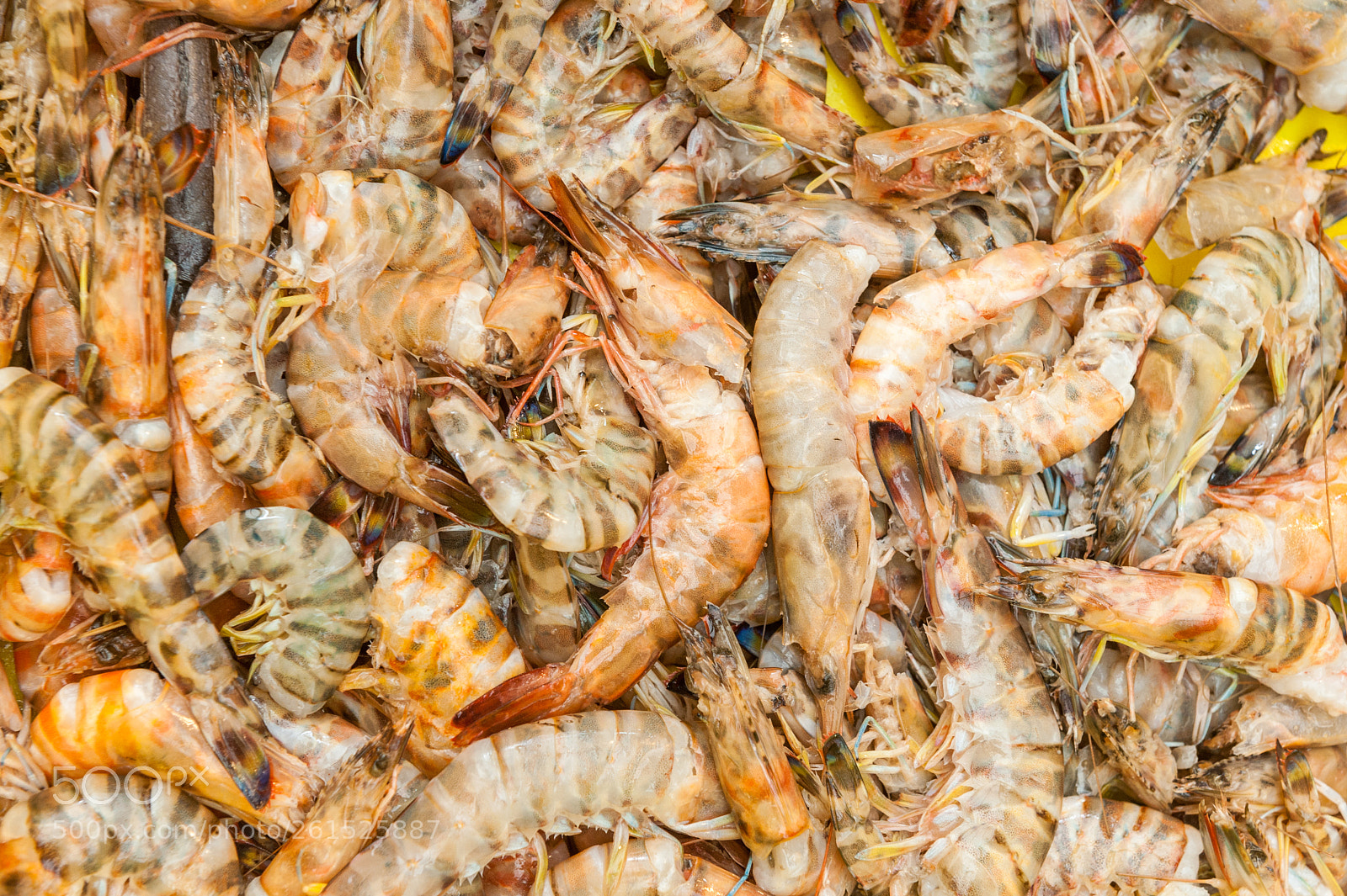 Nikon D700 sample photo. Seafood sold at the photography
