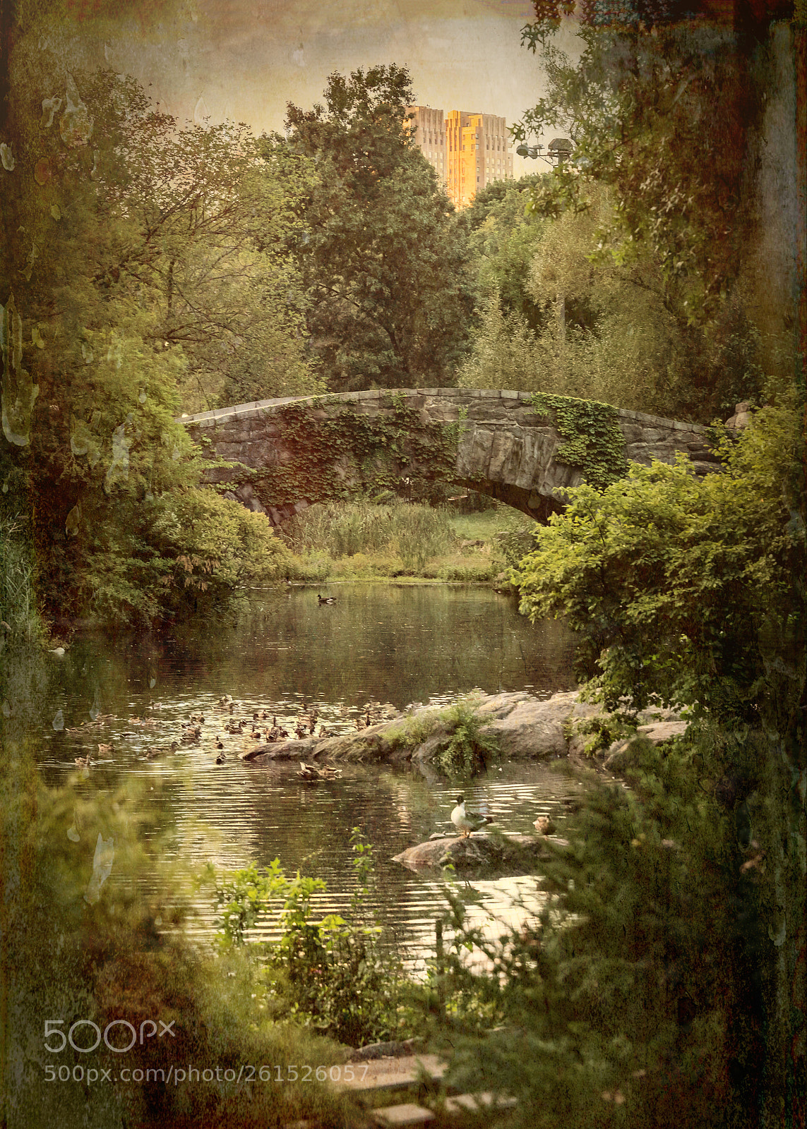 Nikon D750 sample photo. New york central park photography