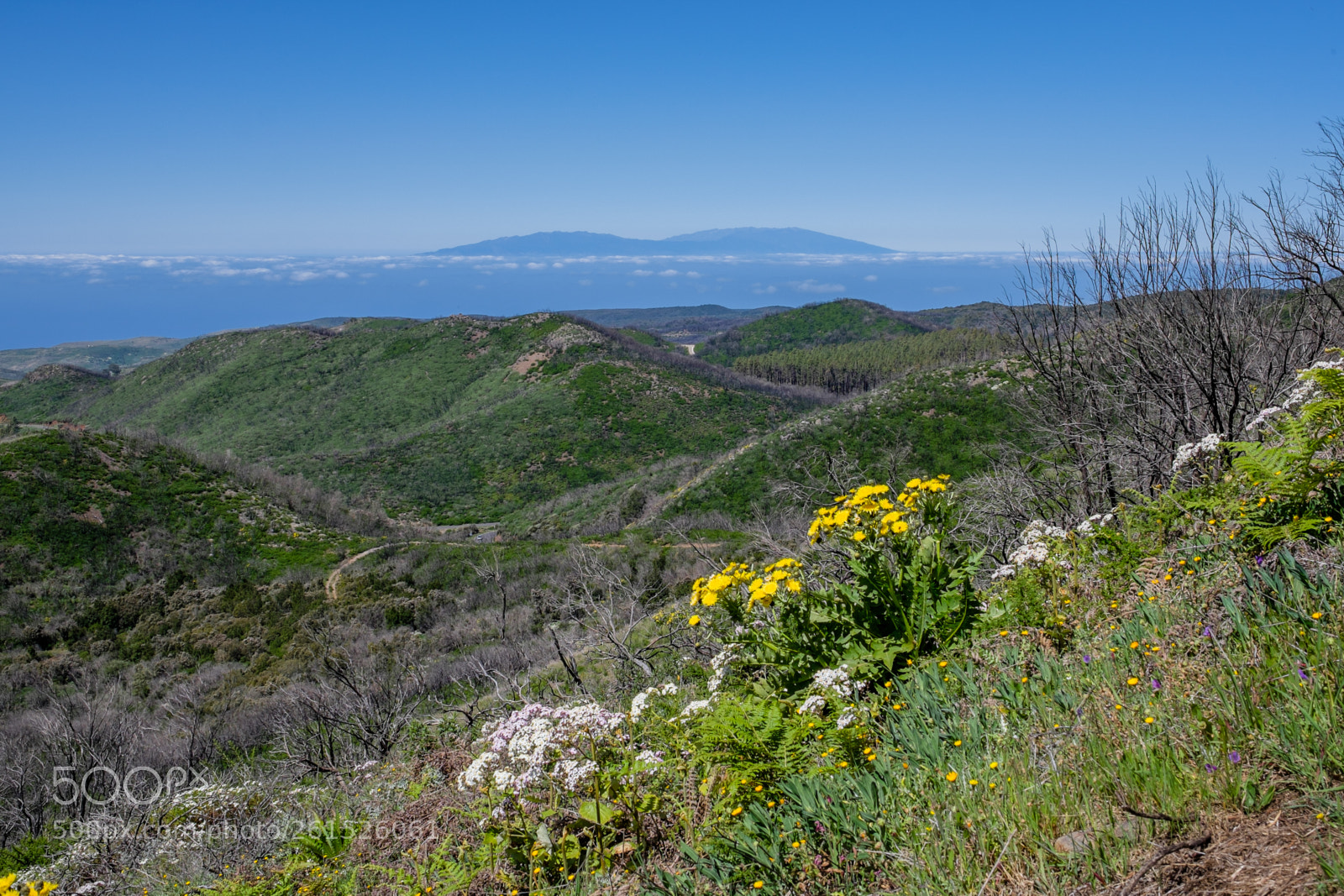 Fujifilm X-T1 sample photo. 15-03-2015-12-57-52.jpg photography