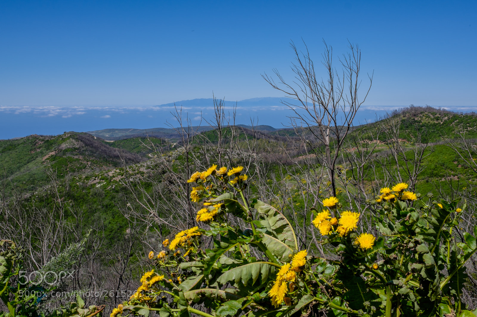 Fujifilm X-T1 sample photo. 15-03-2015-13-01-28.jpg photography