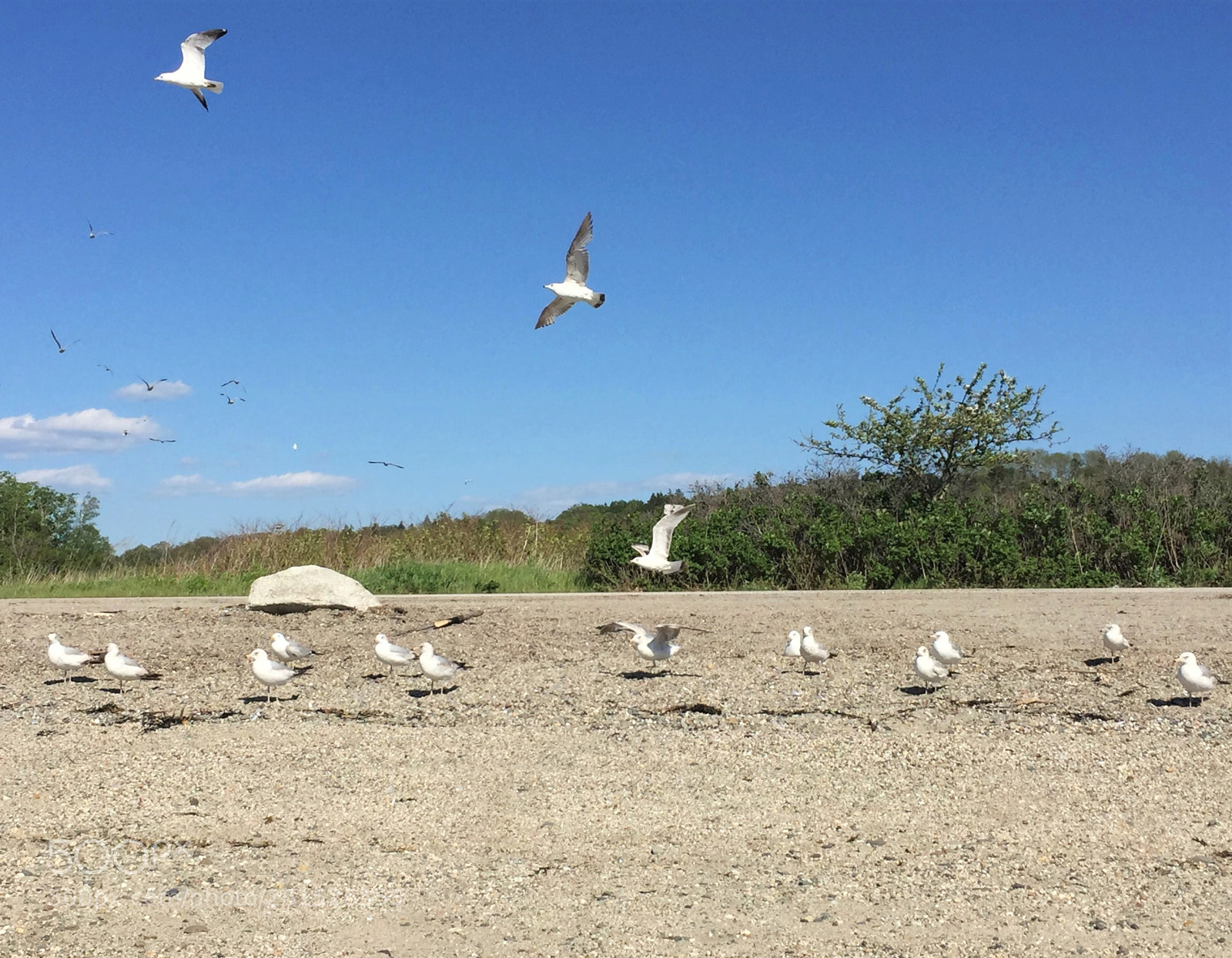 Apple iPhone 6 sample photo. Takeoff photography