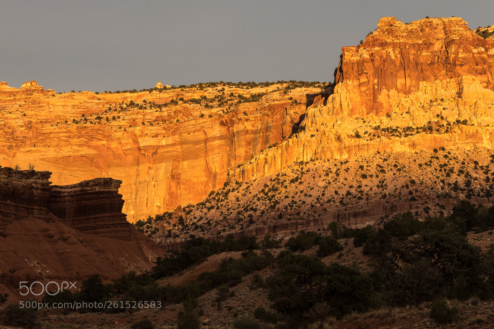 Nikon D850 sample photo. Capitol reef sunset photography