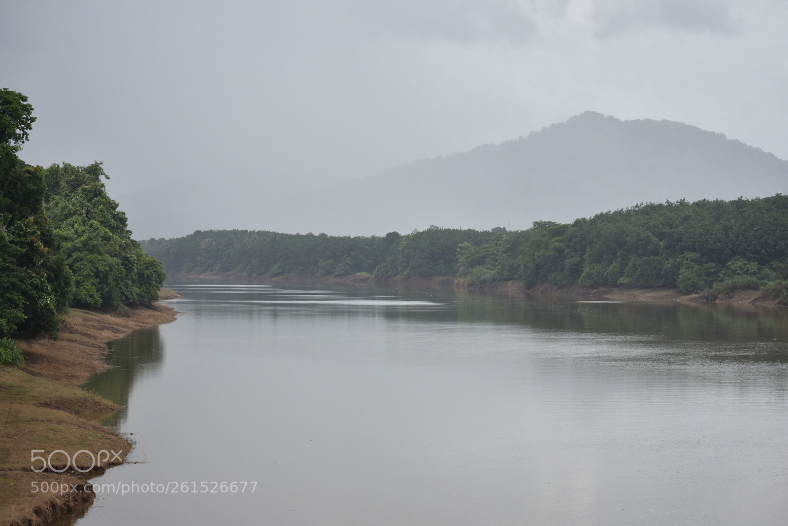 Nikon D3400 sample photo. Thattekaadu bird sanctuary photography