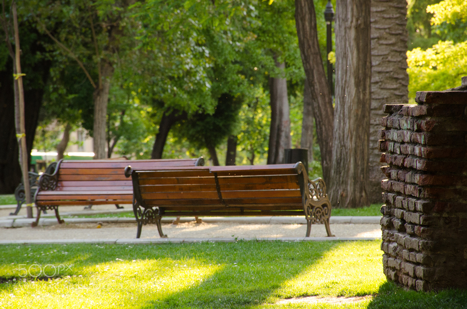 Nikon D7000 sample photo. Parque forestal photography