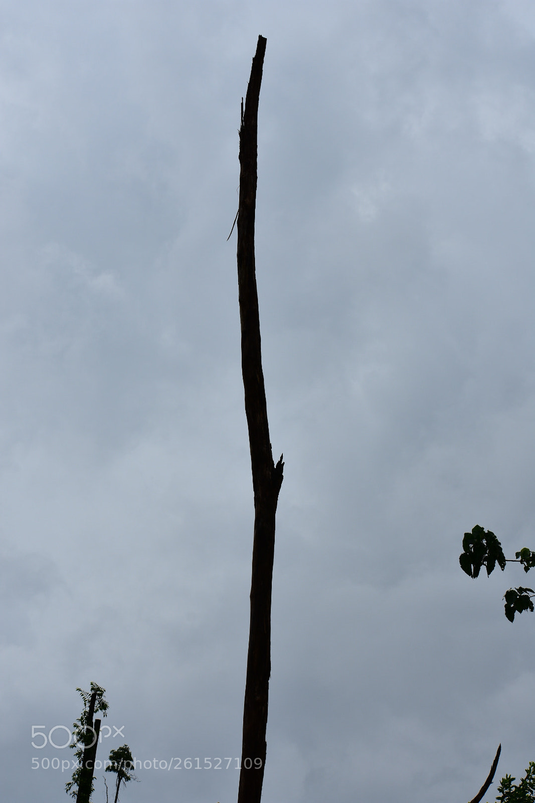 Nikon D3400 sample photo. Alone i stand, after photography