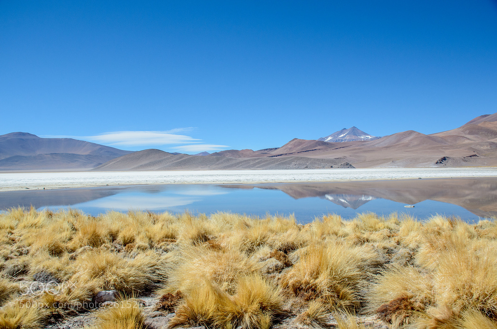 Nikon D7000 sample photo. Parque nevado tres cruces photography