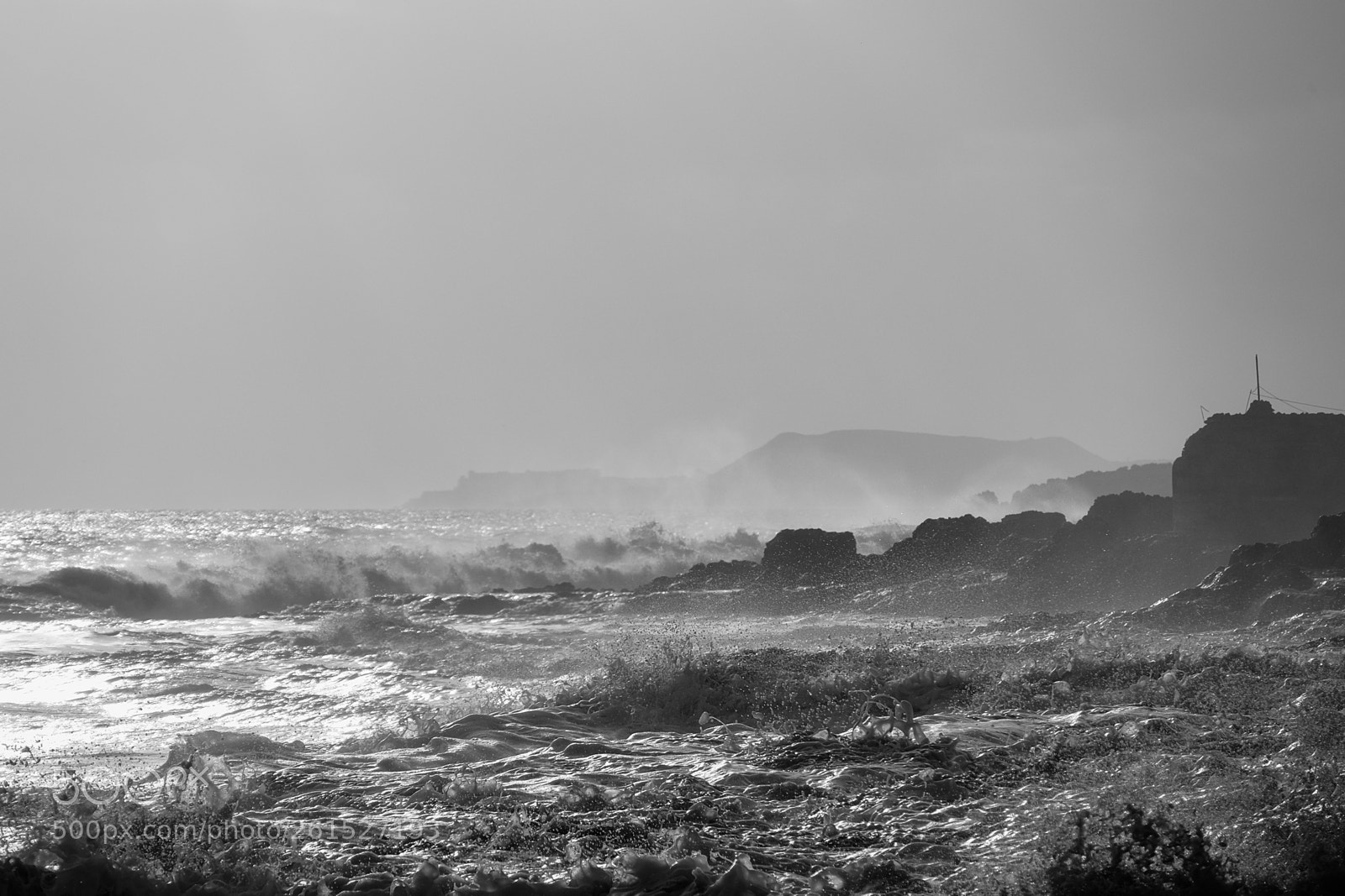 Fujifilm X-T1 sample photo. 31-01-2016-17-21-11-2.jpg photography