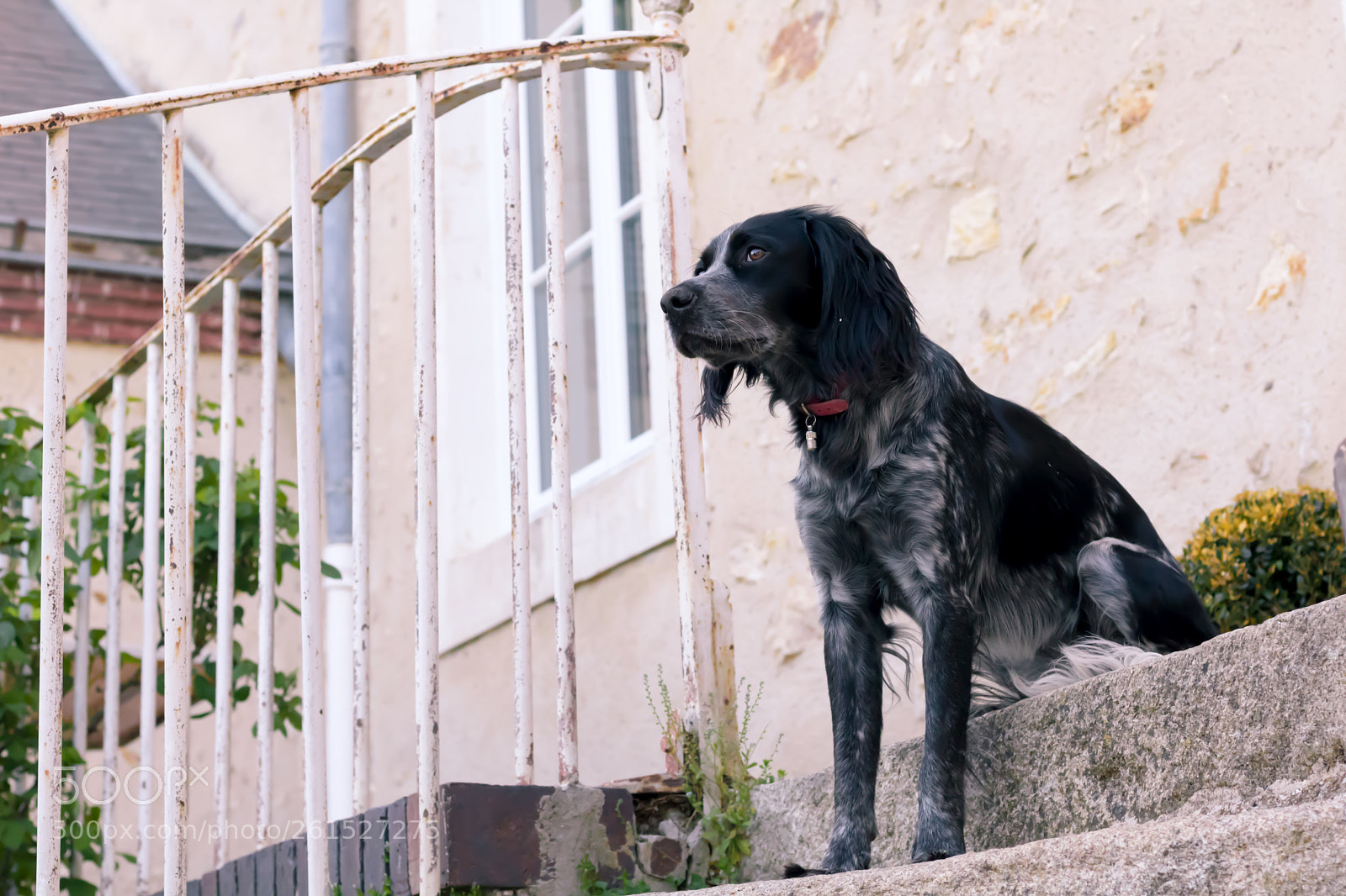 Canon EOS 750D (EOS Rebel T6i / EOS Kiss X8i) sample photo. Regard lointain photography