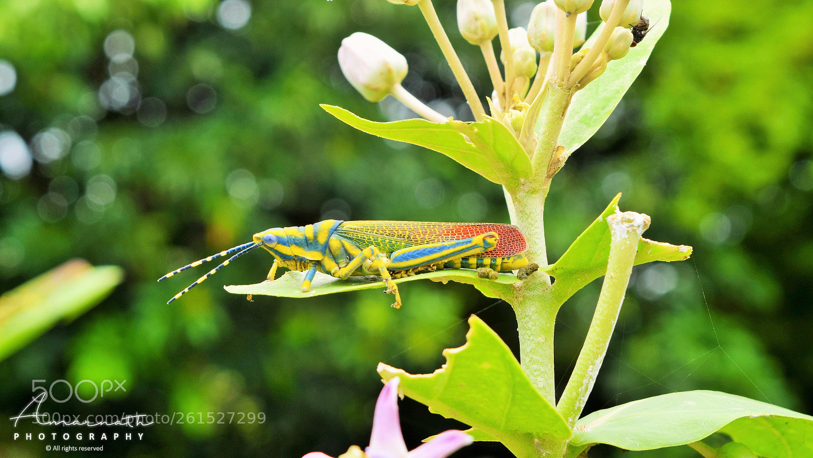 Nikon D5300 sample photo. Untitled photography