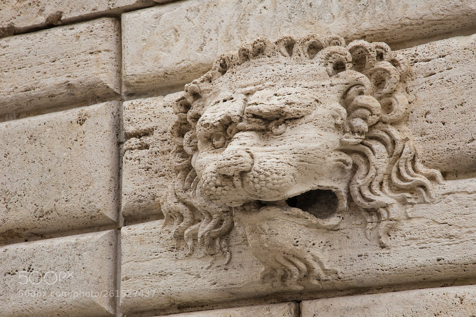Canon EOS 6D sample photo. Roaring photography