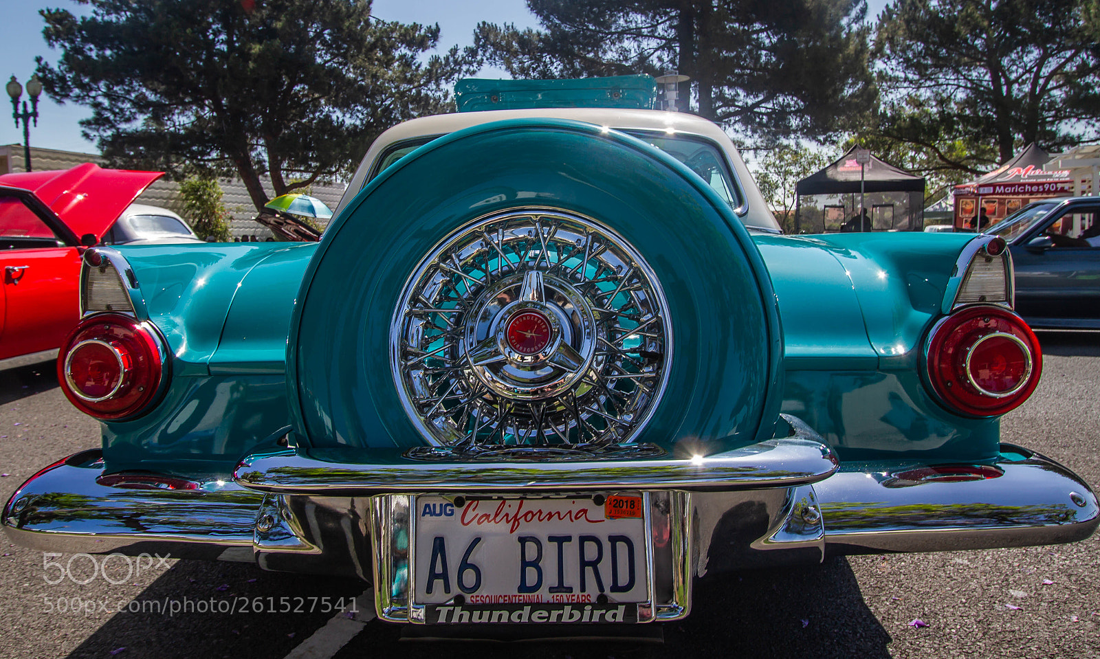 Canon EOS 7D sample photo. 56 t-bird photography