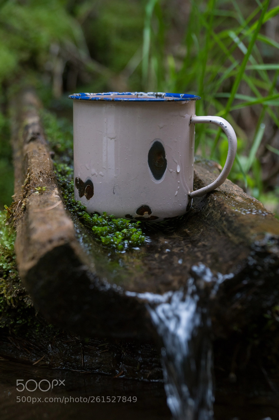 Sony ILCA-77M2 sample photo. Thirsty? photography