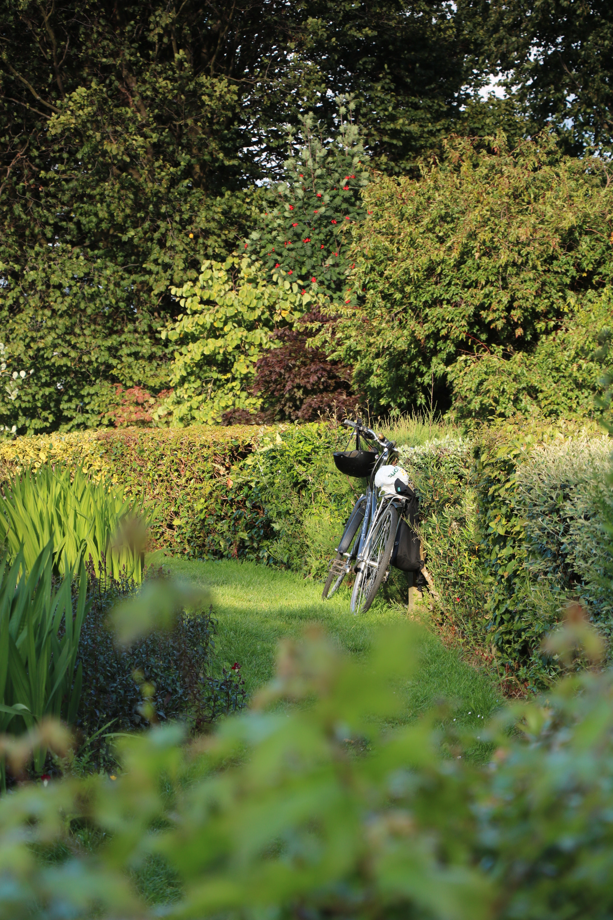 Canon EOS 750D (EOS Rebel T6i / EOS Kiss X8i) sample photo. Bicyclette anglaise photography