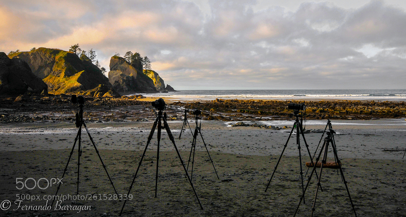 Nikon D300S sample photo. Shishi beach photography