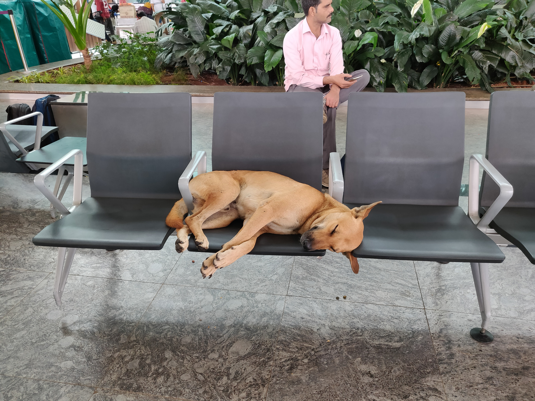 OnePlus A6000 sample photo. Donot disturb photography