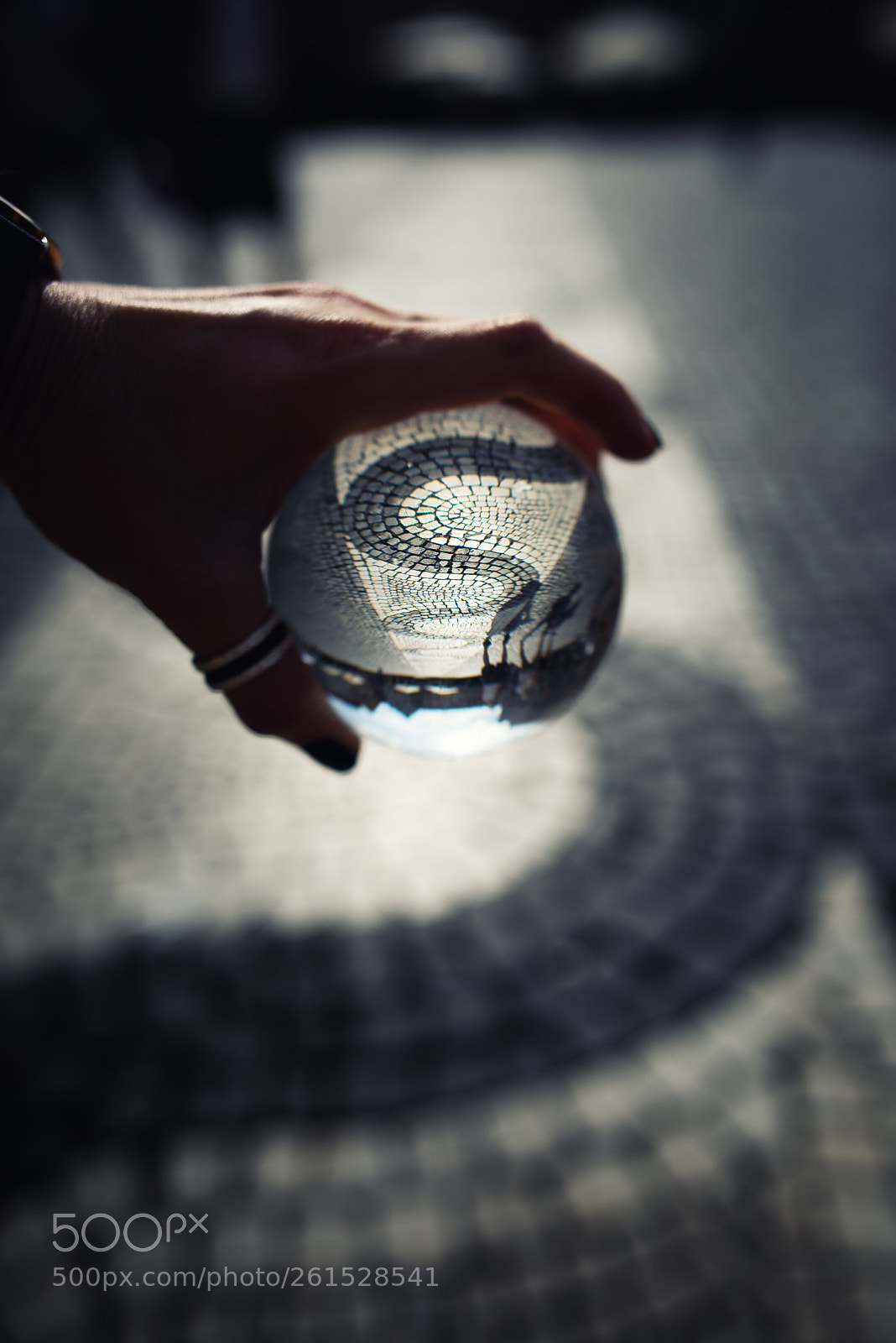 Nikon D810 sample photo. In augsburg germany photography