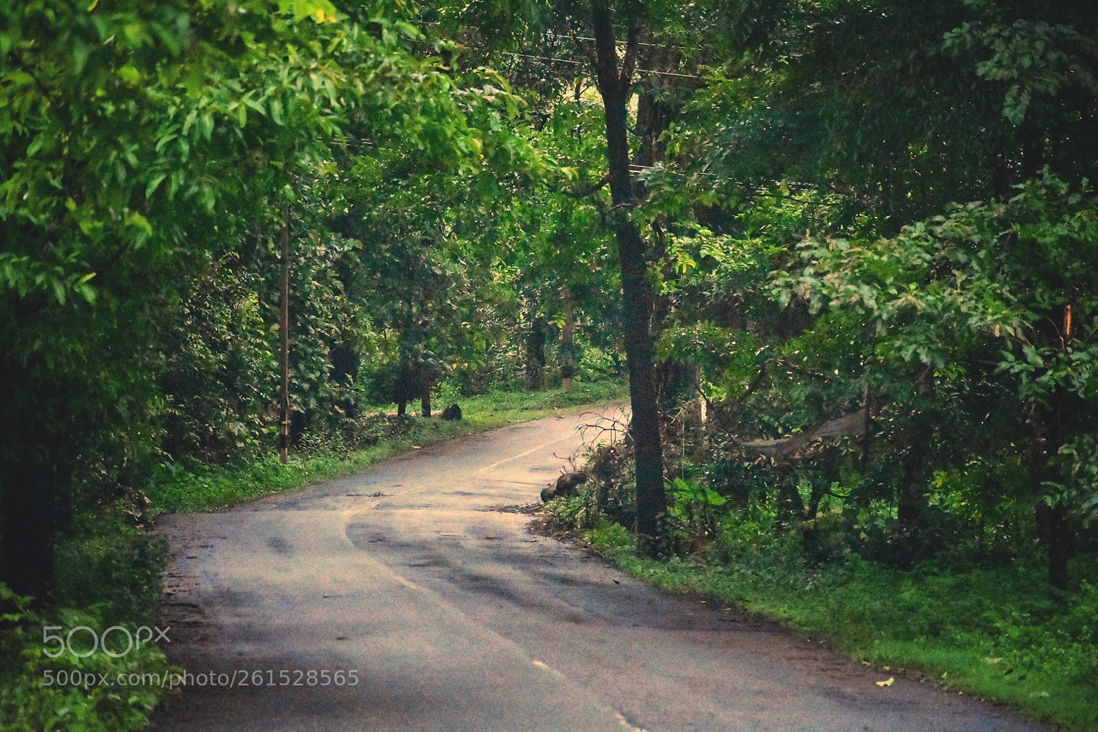 Nikon D3400 sample photo. On the way to photography