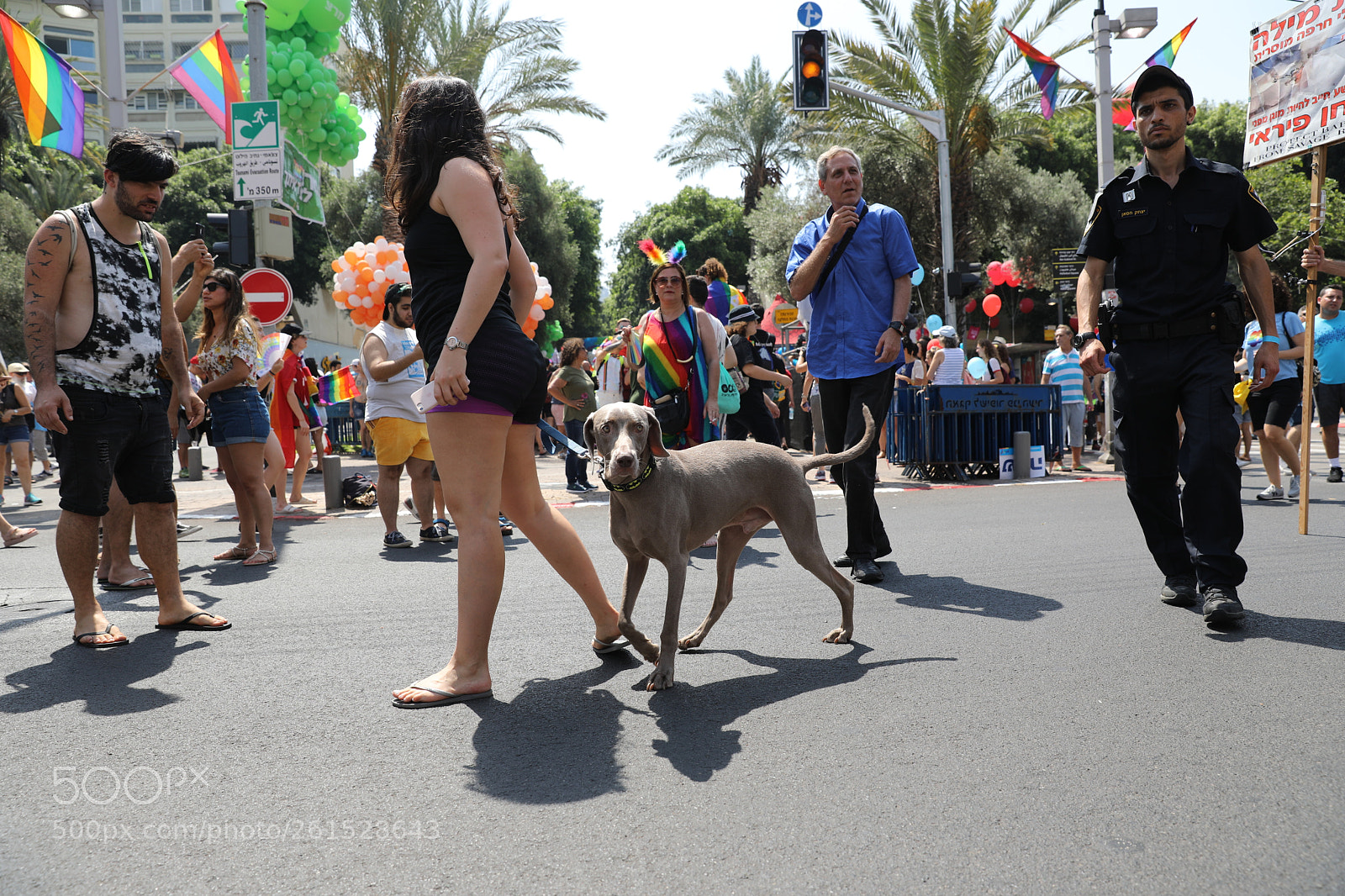 Canon EOS 5D Mark IV sample photo. Tel aviv pride parade 2018 photography