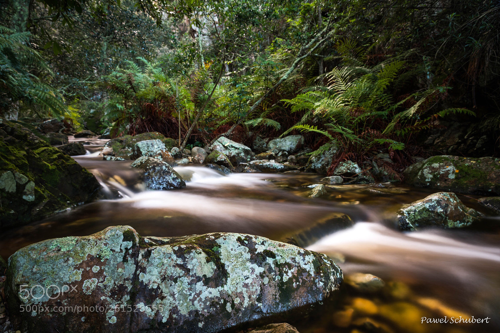 Nikon D850 sample photo. Little stream photography