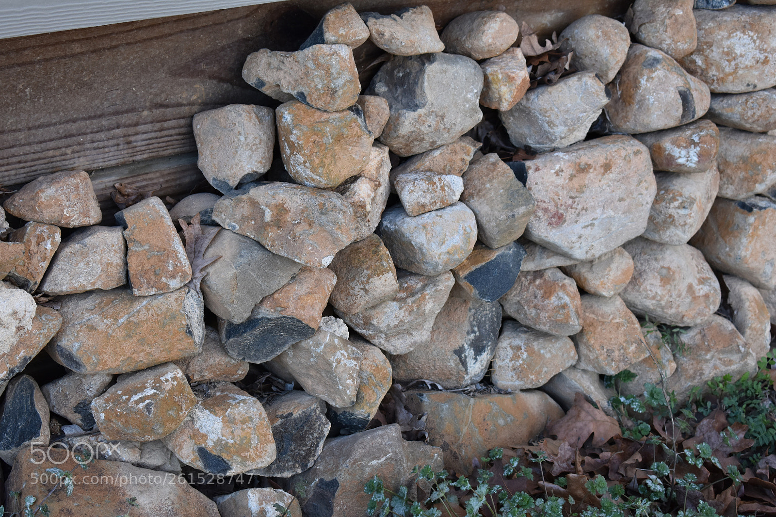 Nikon D3400 sample photo. Mocksville nc photography