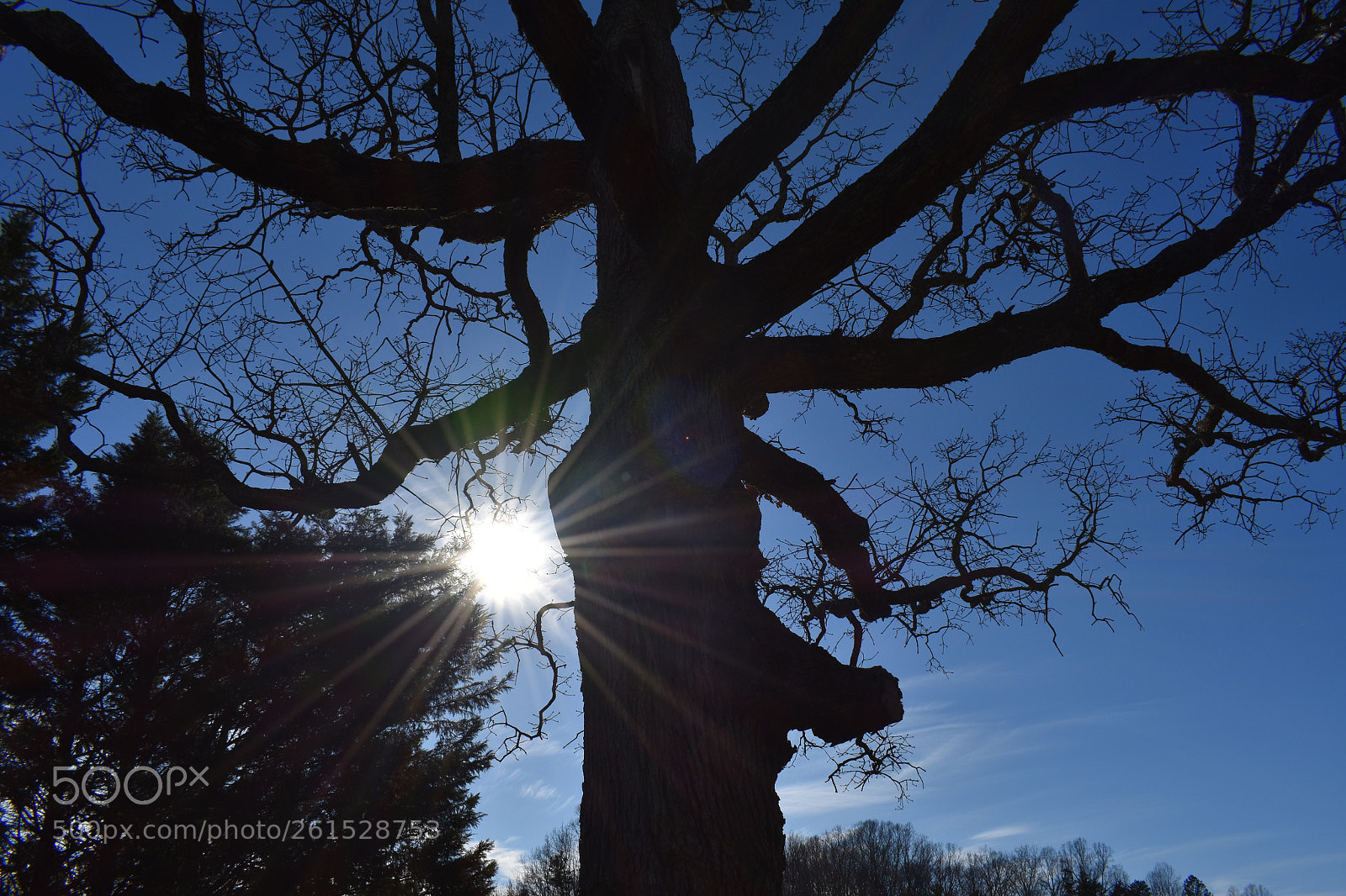 Nikon D3400 sample photo. Mocksville nc photography