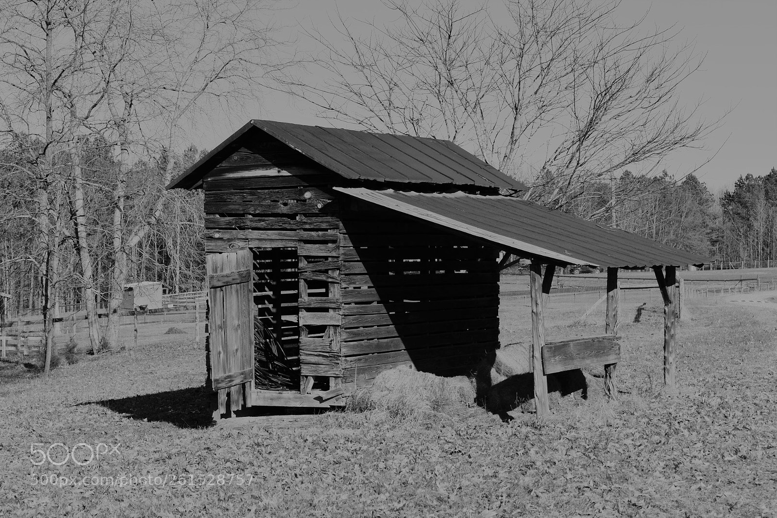 Nikon D3400 sample photo. Mocksville nc photography