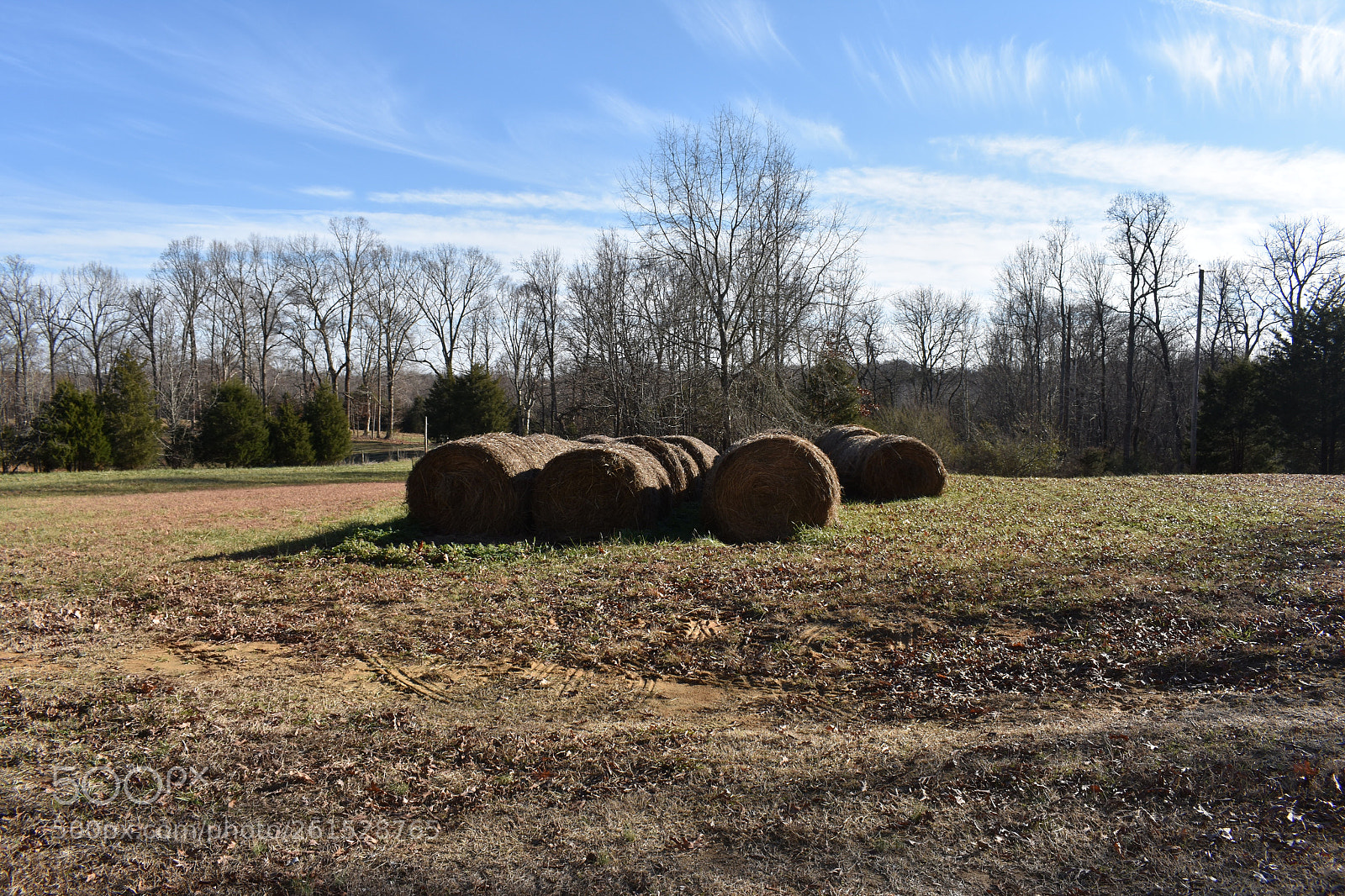 Nikon D3400 sample photo. Mocksville nc photography