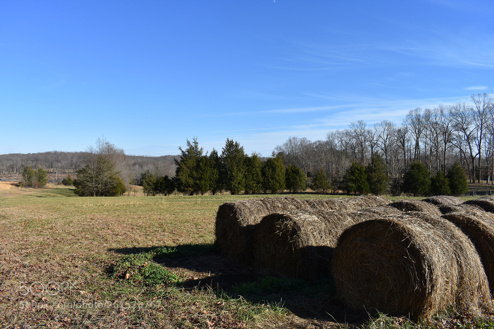 Nikon D3400 sample photo. Mocksville nc photography
