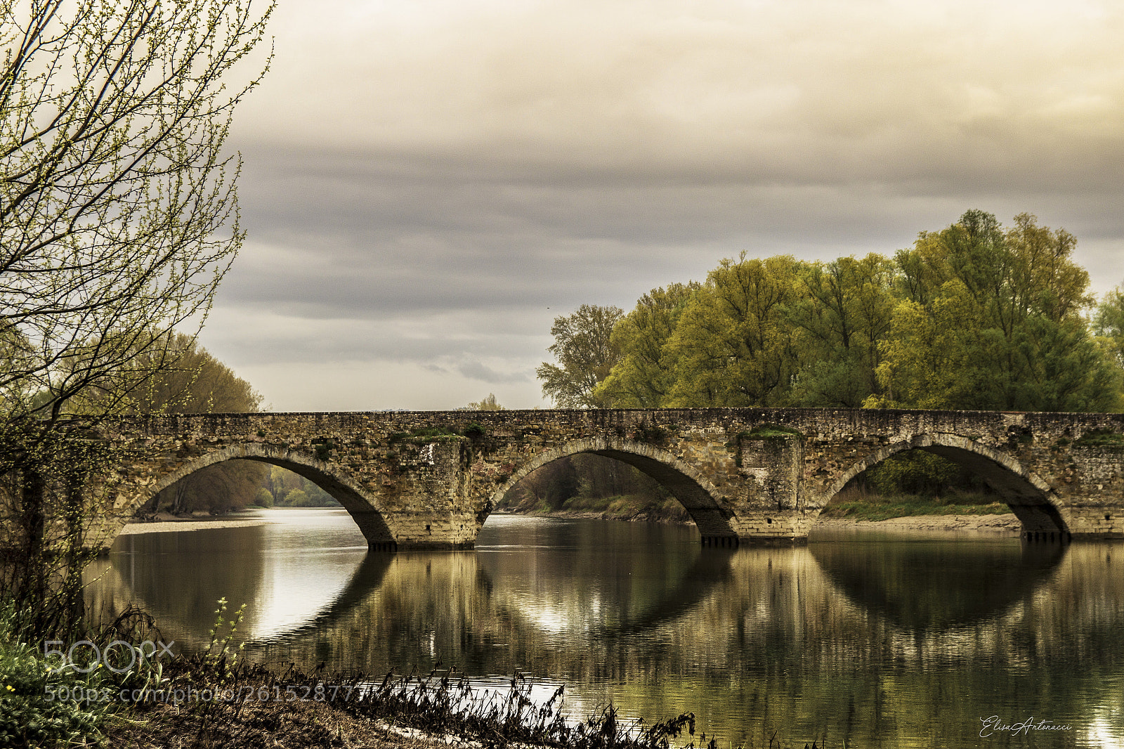 Canon EOS 600D (Rebel EOS T3i / EOS Kiss X5) sample photo. The bridge photography