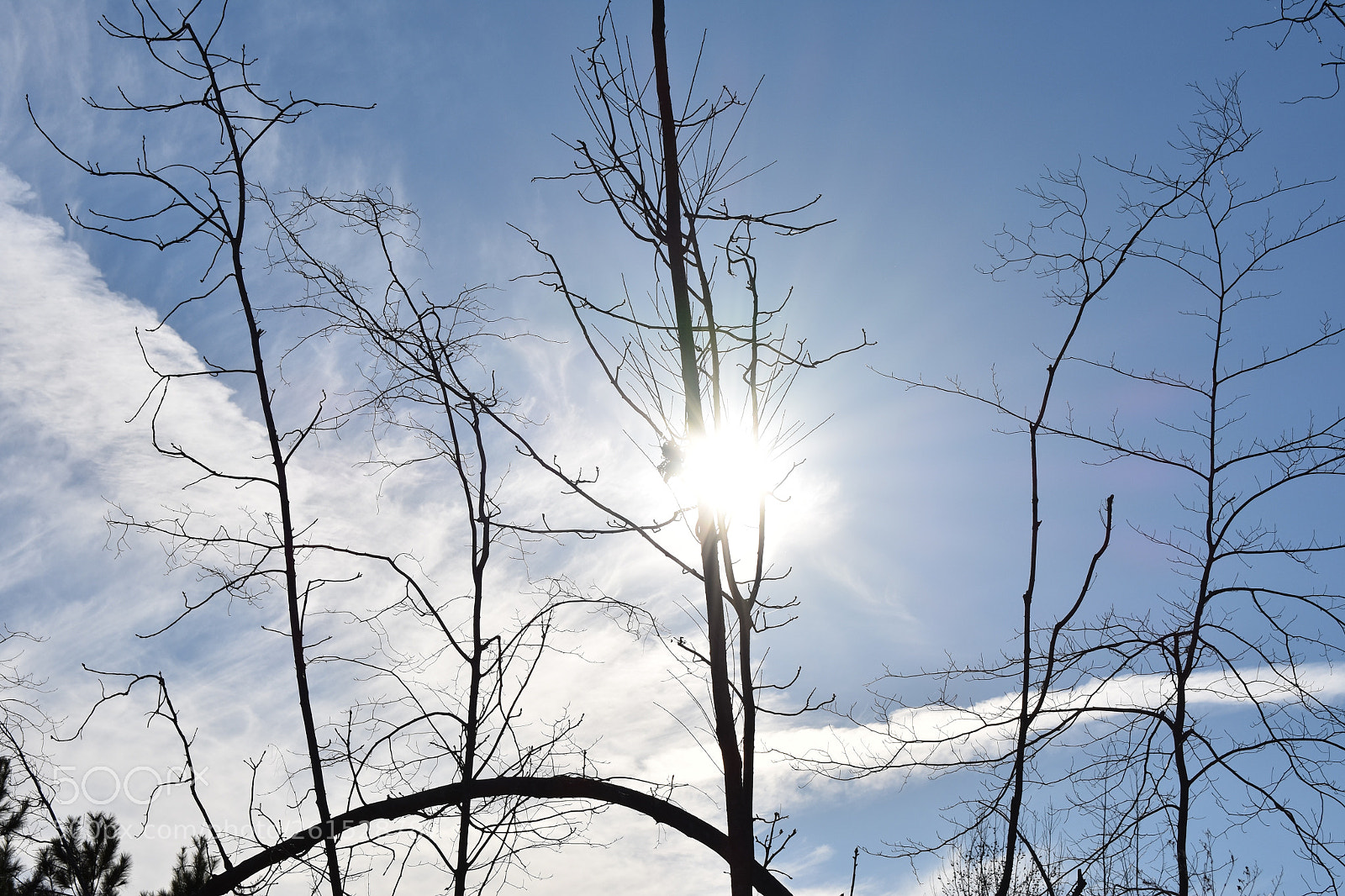 Nikon D3400 sample photo. Mocksville nc photography